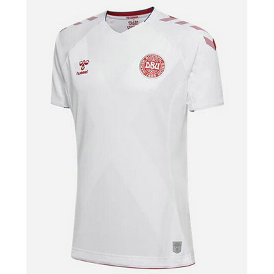 Camiseta Dinamarca Segunda Copa Mundial 2018