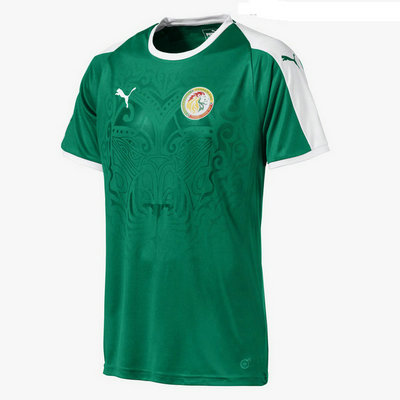 Camiseta Senegal Segunda Copa Mundial 2018